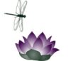 dragonfly logo